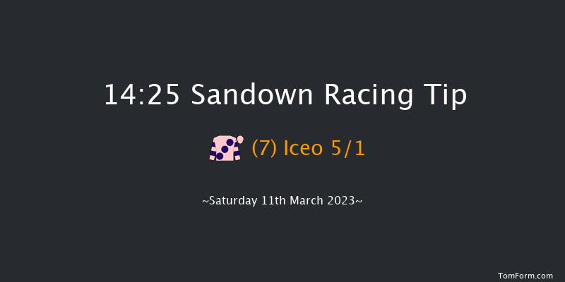 Sandown 14:25 Handicap Hurdle (Class 1) 16f Tue 7th Mar 2023