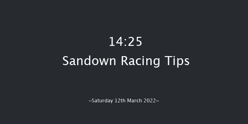 Sandown 14:25 Handicap Hurdle (Class 1) 16f Tue 8th Mar 2022