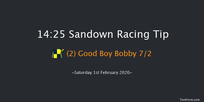 Sandown 14:25 Maiden Chase (Class 1) 20f Sat 4th Jan 2020