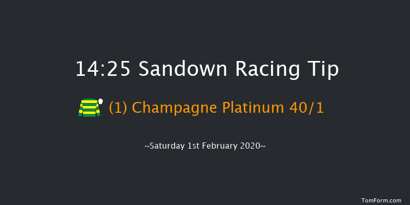 Sandown 14:25 Maiden Chase (Class 1) 20f Sat 4th Jan 2020