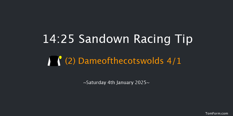 Sandown  14:25 Conditions Hurdle (Class 1) 20f Sat 7th Dec 2024