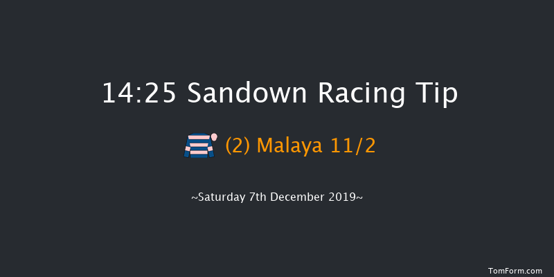 Sandown 14:25 Handicap Hurdle (Class 1) 16f Fri 6th Dec 2019