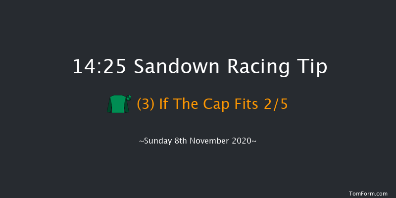 Future Stars Intermediate Chase (Listed) (GBB Race) Sandown 14:25 Conditions Chase (Class 1) 24f Wed 16th Sep 2020