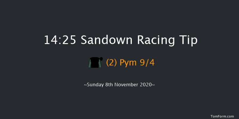 Future Stars Intermediate Chase (Listed) (GBB Race) Sandown 14:25 Conditions Chase (Class 1) 24f Wed 16th Sep 2020