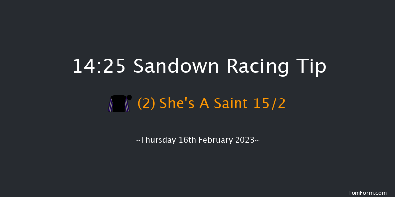 Sandown 14:25 Maiden Hurdle (Class 1) 20f Sat 4th Feb 2023