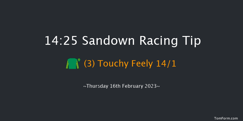 Sandown 14:25 Maiden Hurdle (Class 1) 20f Sat 4th Feb 2023