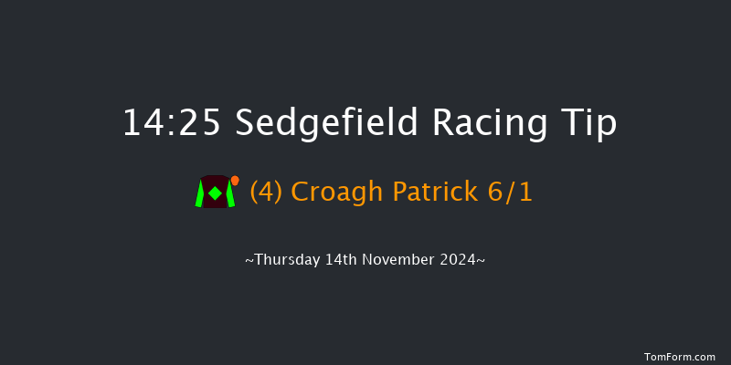 Sedgefield  14:25 Handicap Chase (Class 5) 26f Tue 5th Nov 2024