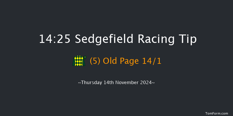 Sedgefield  14:25 Handicap Chase (Class 5) 26f Tue 5th Nov 2024