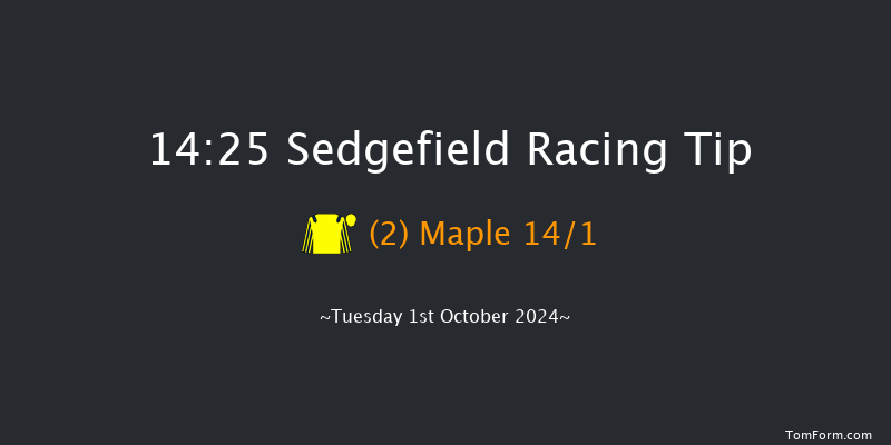 Sedgefield  14:25 Maiden Hurdle (Class 4) 17f Mon 23rd Sep 2024