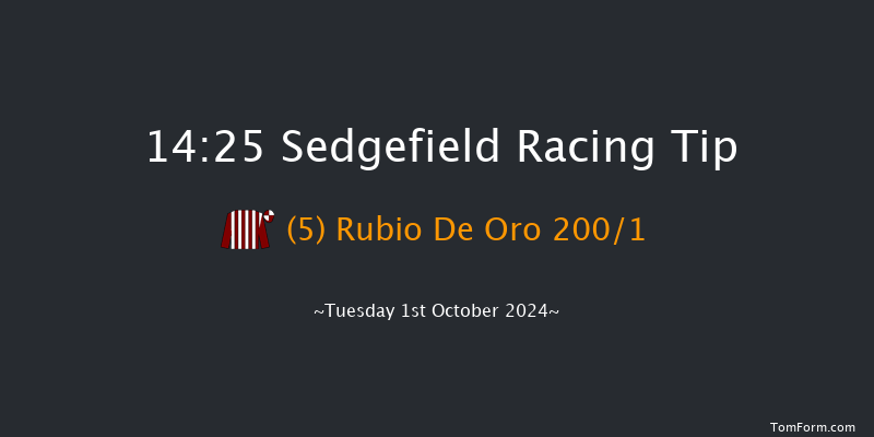 Sedgefield  14:25 Maiden Hurdle (Class 4) 17f Mon 23rd Sep 2024