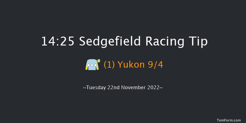 Sedgefield 14:25 Novices Hurdle (Class 4) 17f Thu 3rd Nov 2022