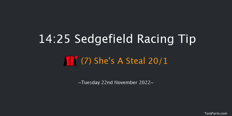 Sedgefield 14:25 Novices Hurdle (Class 4) 17f Thu 3rd Nov 2022