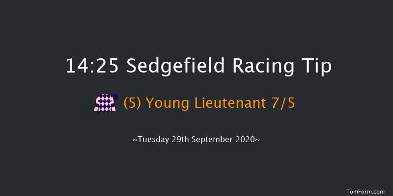 bet365 Novices' Hurdle (GBB Race) Sedgefield 14:25 Maiden Hurdle (Class 4) 20f Fri 4th Sep 2020
