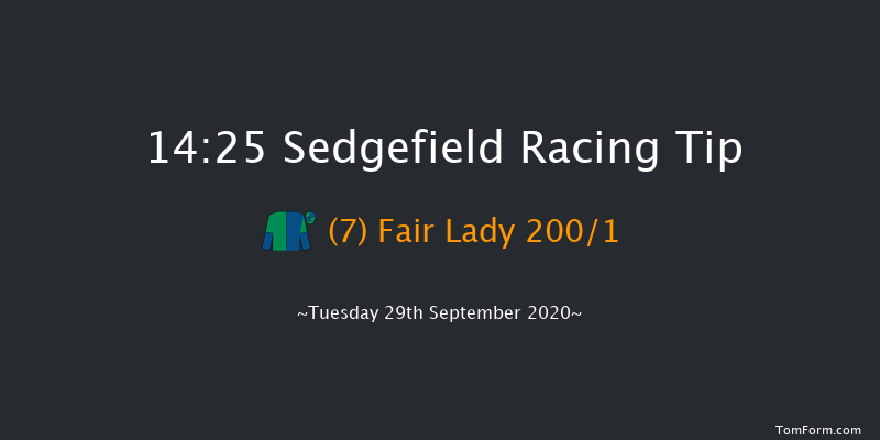 bet365 Novices' Hurdle (GBB Race) Sedgefield 14:25 Maiden Hurdle (Class 4) 20f Fri 4th Sep 2020