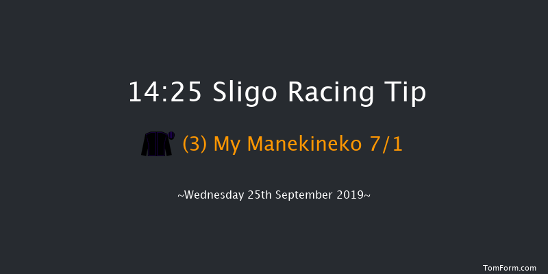 Sligo 14:25 Handicap Chase 17f Tue 20th Aug 2019