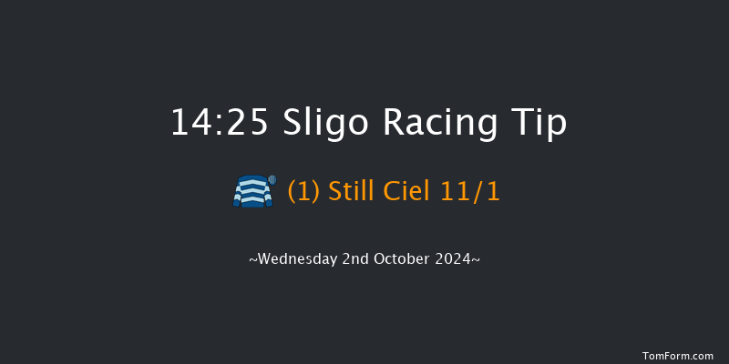 Sligo  14:25 Handicap Chase 18f Sun 7th Jul 2024