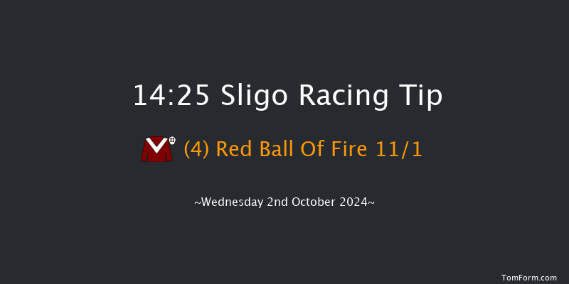 Sligo  14:25 Handicap Chase 18f Sun 7th Jul 2024
