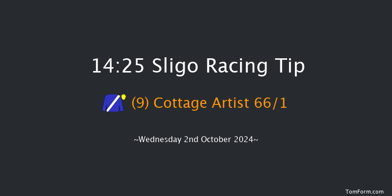Sligo  14:25 Handicap Chase 18f Sun 7th Jul 2024