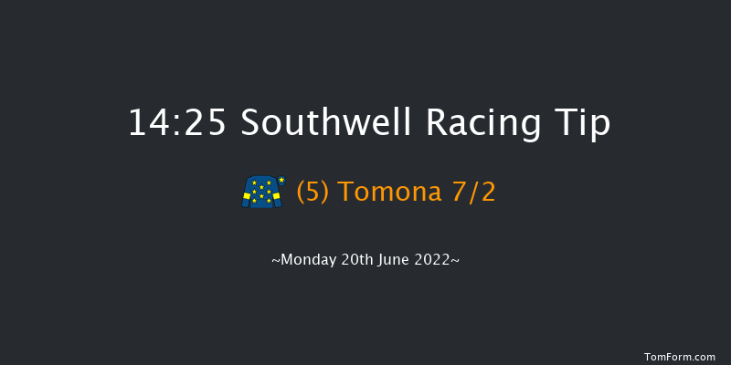 Southwell 14:25 NH Flat Race (Class 5) 16f Mon 6th Jun 2022
