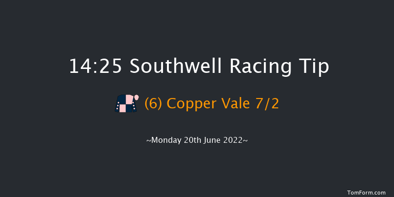 Southwell 14:25 NH Flat Race (Class 5) 16f Mon 6th Jun 2022