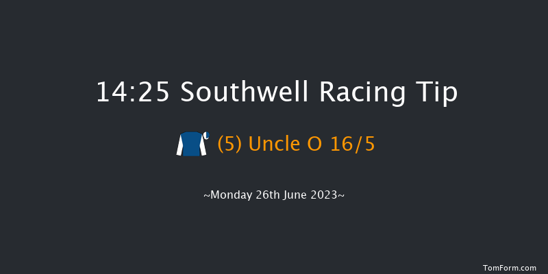 Southwell 14:25 Handicap Chase (Class 5) 16f Tue 13th Jun 2023