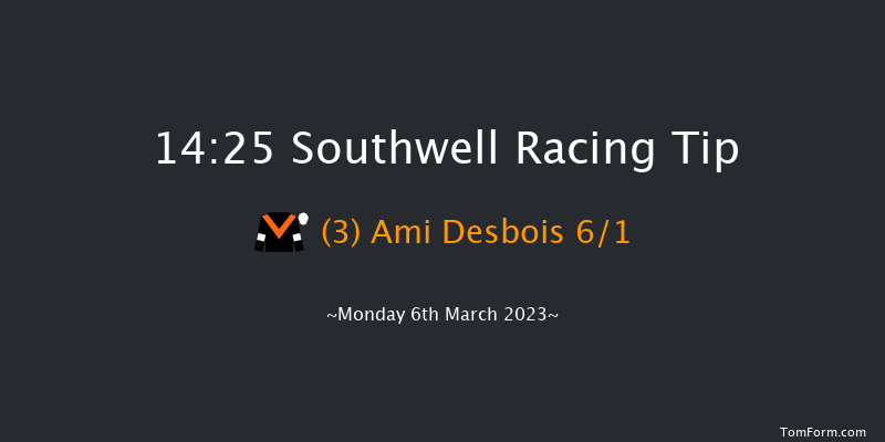 Southwell 14:25 Hunter Chase (Class 5) 24f Tue 28th Feb 2023