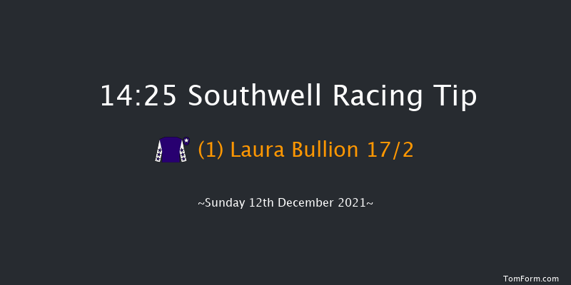 Southwell 14:25 Handicap Hurdle (Class 3) 16f Fri 10th Dec 2021