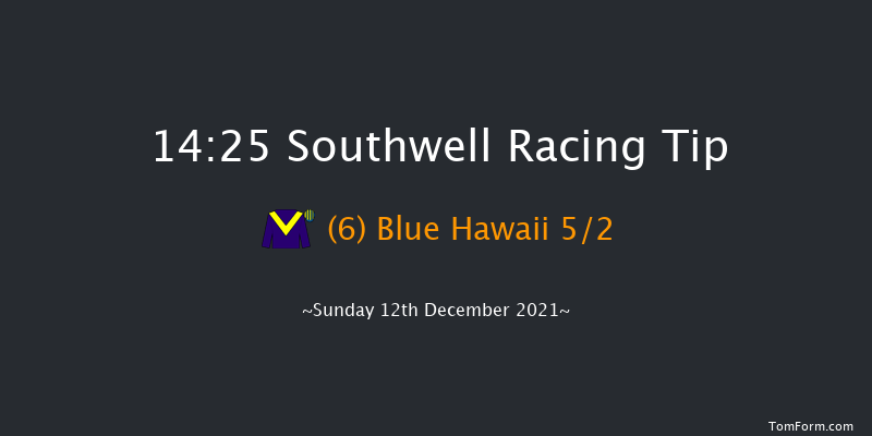 Southwell 14:25 Handicap Hurdle (Class 3) 16f Fri 10th Dec 2021