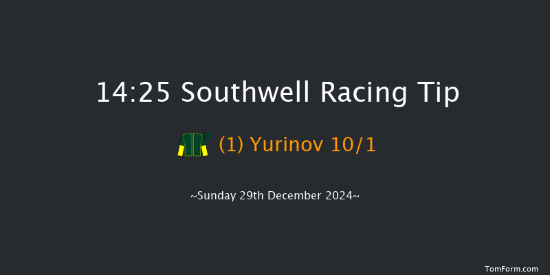 Southwell  14:25 Handicap (Class 6) 12f Sat 28th Dec 2024