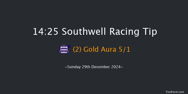 Southwell  14:25 Handicap (Class 6) 12f Sat 28th Dec 2024