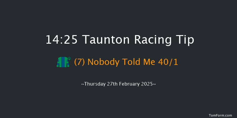 Taunton  14:25 Handicap Hurdle (Class 5) 19f Tue 18th Feb 2025