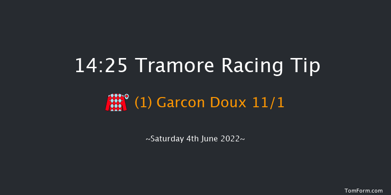 Tramore 14:25 Handicap Hurdle 22f Fri 3rd Jun 2022