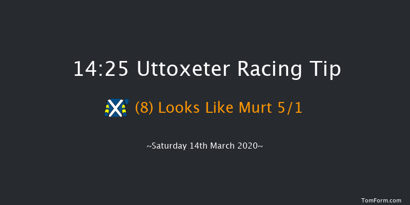 1834 Novices' Handicap Chase Uttoxeter 14:25 Handicap Chase (Class 2) 24f Sat 8th Feb 2020