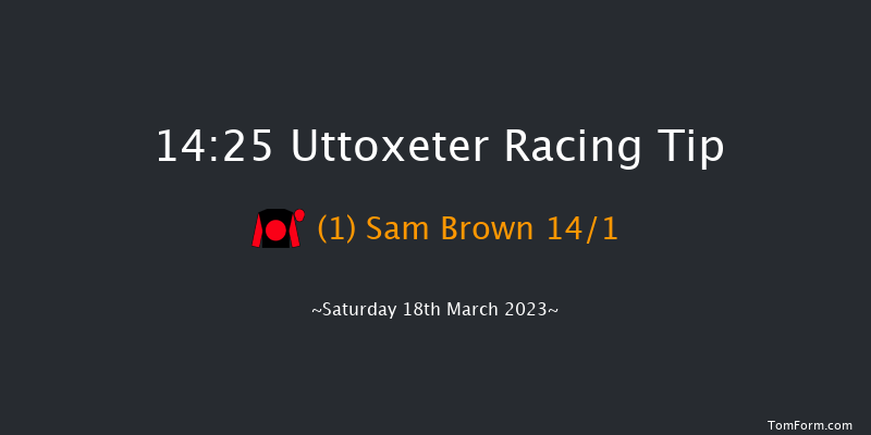 Uttoxeter 14:25 Handicap Hurdle (Class 2) 23f Sat 11th Feb 2023