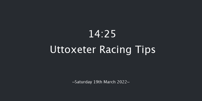 Uttoxeter 14:25 Handicap Chase (Class 2) 24f Sat 12th Feb 2022