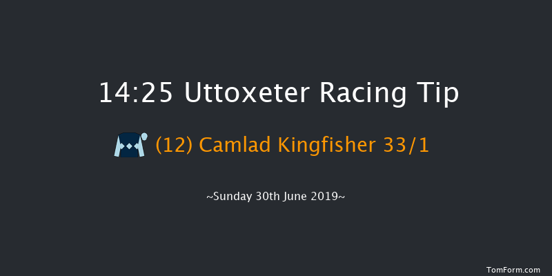 Uttoxeter 14:25 Handicap Hurdle (Class 5) 16f Thu 1st Jan 1970