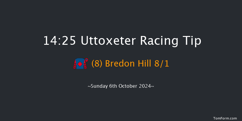 Uttoxeter  14:25 Maiden Hurdle (Class 4) 20f Wed 17th Jul 2024