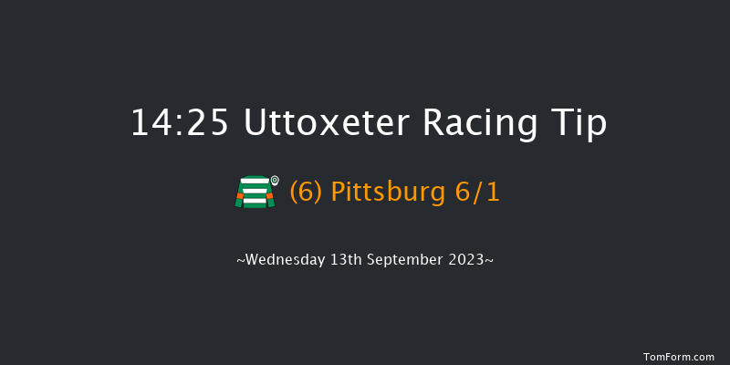 Uttoxeter 14:25 Handicap Hurdle (Class 5) 16f Wed 30th Aug 2023