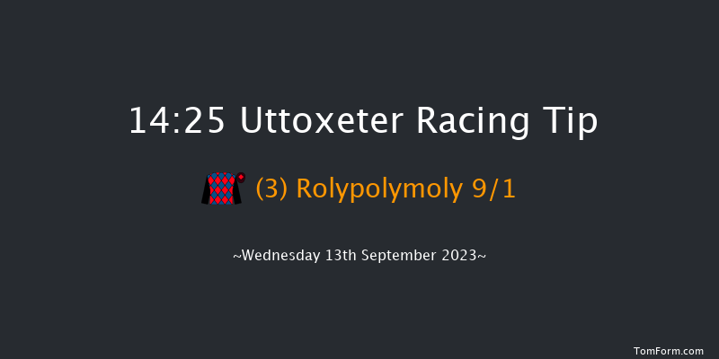 Uttoxeter 14:25 Handicap Hurdle (Class 5) 16f Wed 30th Aug 2023