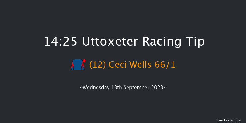 Uttoxeter 14:25 Handicap Hurdle (Class 5) 16f Wed 30th Aug 2023