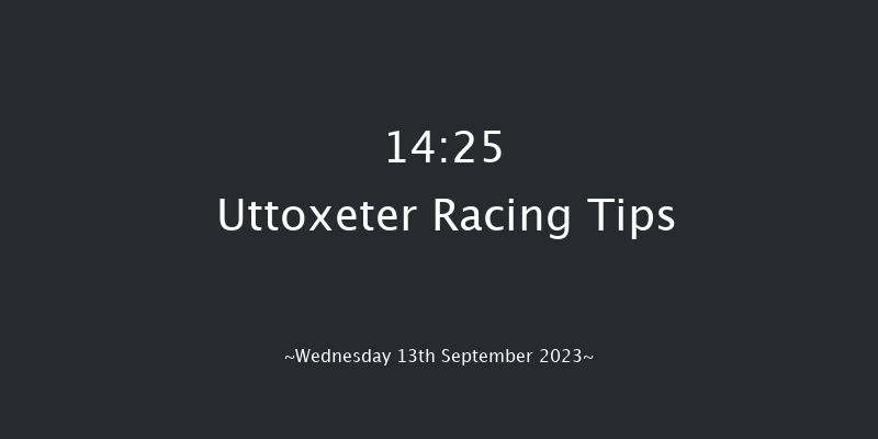 Uttoxeter 14:25 Handicap Hurdle (Class 5) 16f Wed 30th Aug 2023