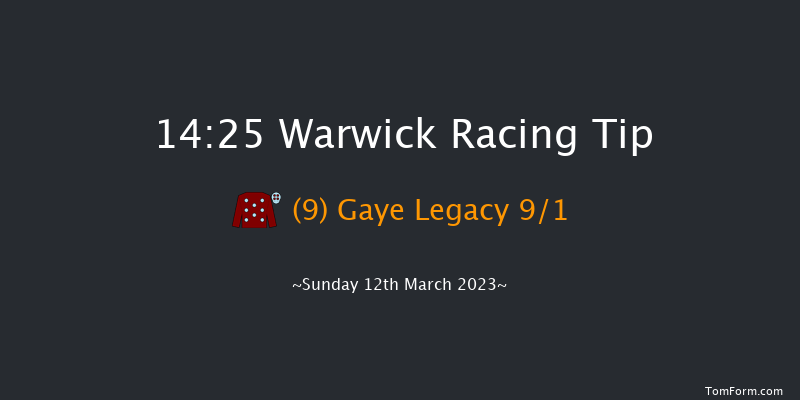 Warwick 14:25 Novices Hurdle (Class 4) 16f Fri 24th Feb 2023