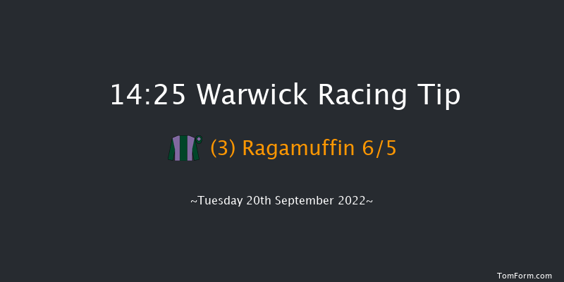 Warwick 14:25 Handicap Chase (Class 3) 16f Wed 25th May 2022