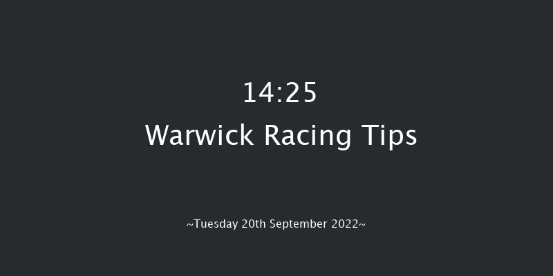 Warwick 14:25 Handicap Chase (Class 3) 16f Wed 25th May 2022