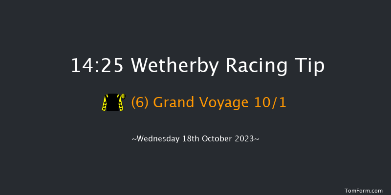 Wetherby 14:25 Handicap Chase (Class 3) 15f Tue 13th Jun 2023