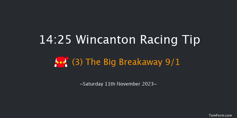 Wincanton 14:25 Handicap Chase (Class 1) 25f Sun 29th Oct 2023