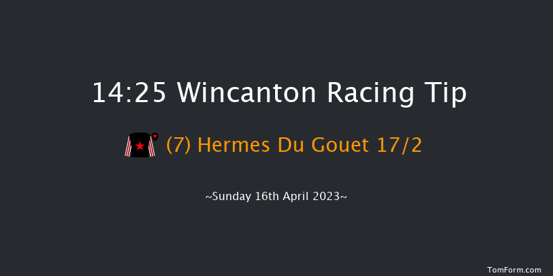 Wincanton 14:25 Handicap Hurdle (Class 3) 21f Wed 5th Apr 2023