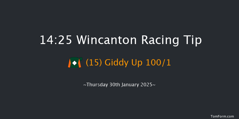 Wincanton  14:25 Handicap Hurdle (Class 5) 20f Thu 16th Jan 2025