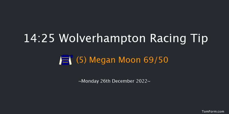 Wolverhampton 14:25 Stakes (Class 5) 5f Wed 21st Dec 2022