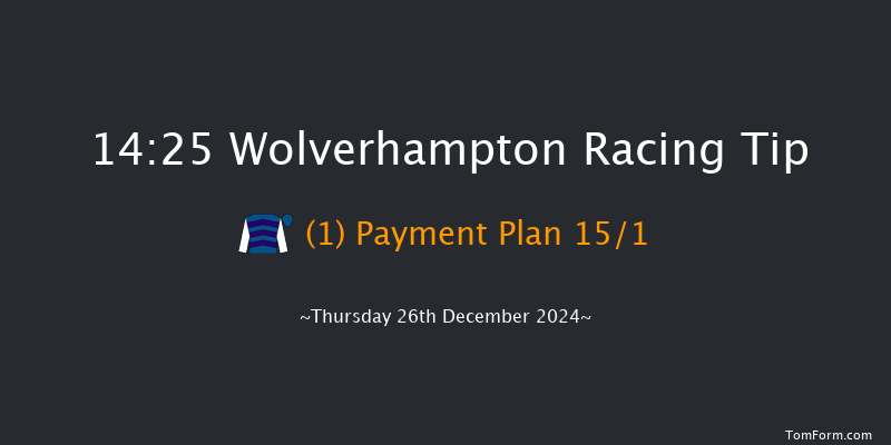 Wolverhampton  14:25 Handicap (Class 6) 16f Sat 21st Dec 2024